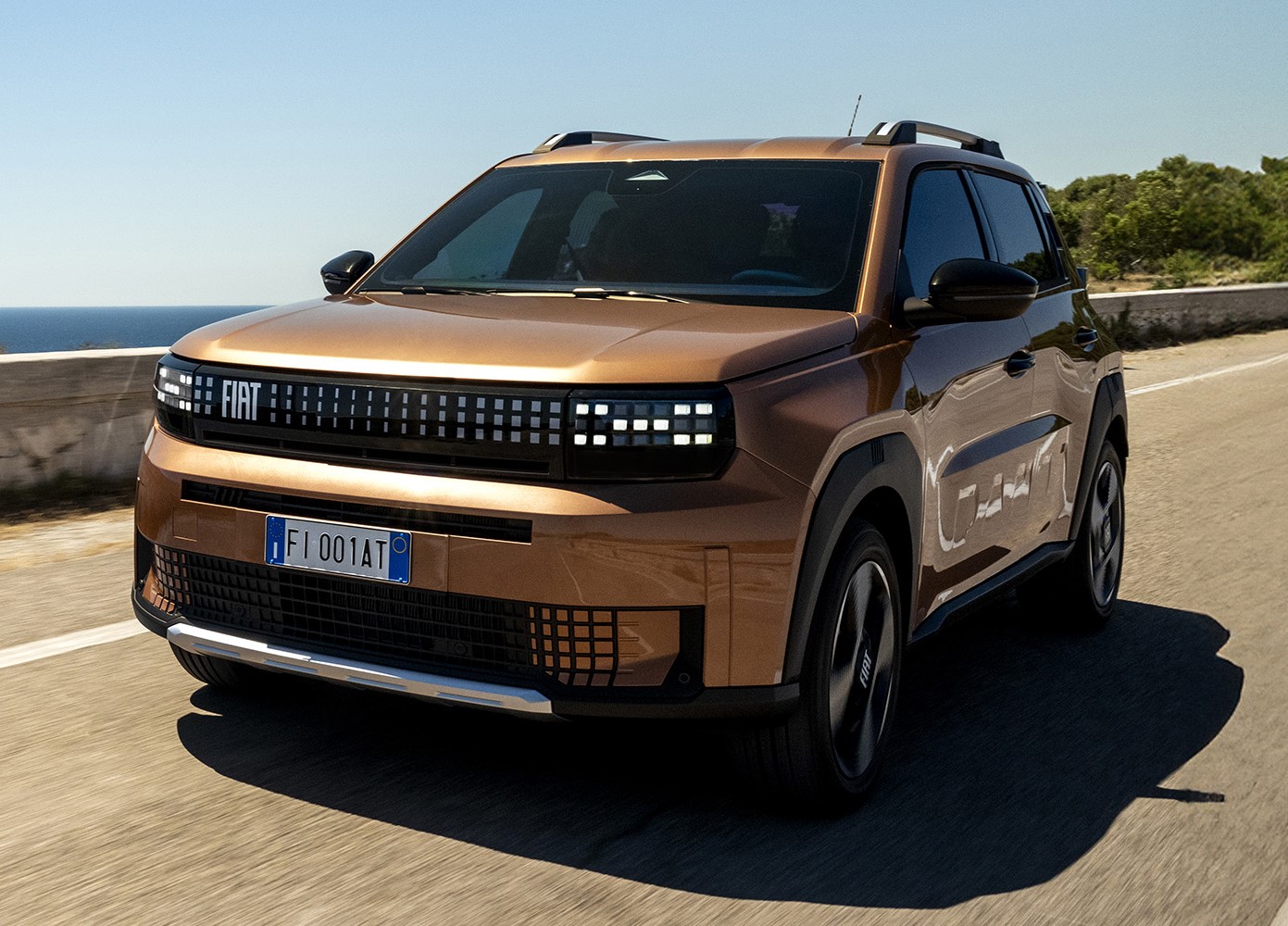 FIAT GRANDE PANDA Business